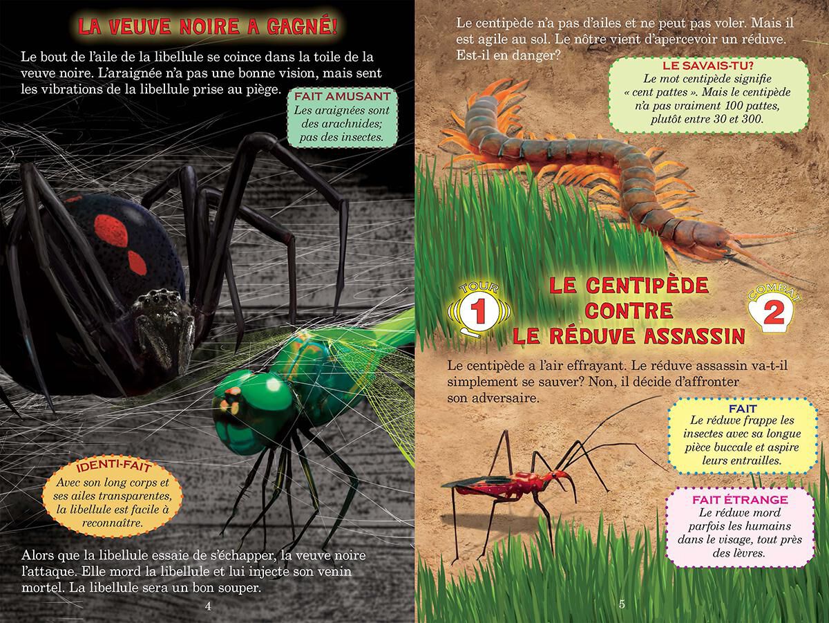 Thumbnail 3Collection Qui va gagner?