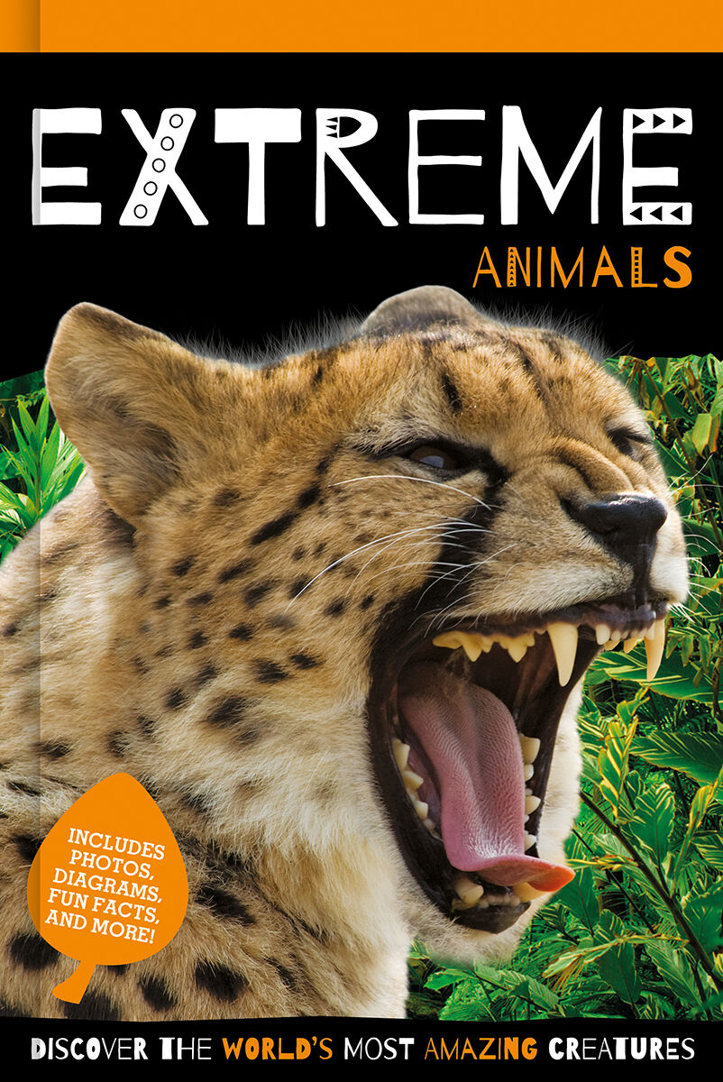 Thumbnail 5 Animal Reader 4-Pack 