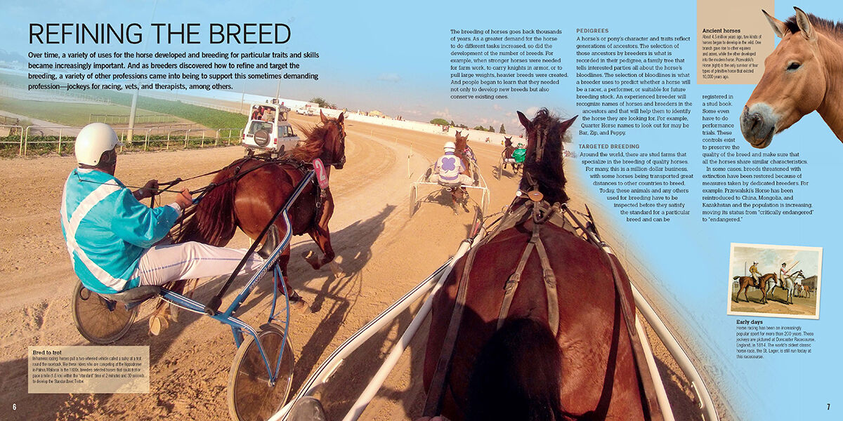 Thumbnail 4Horses