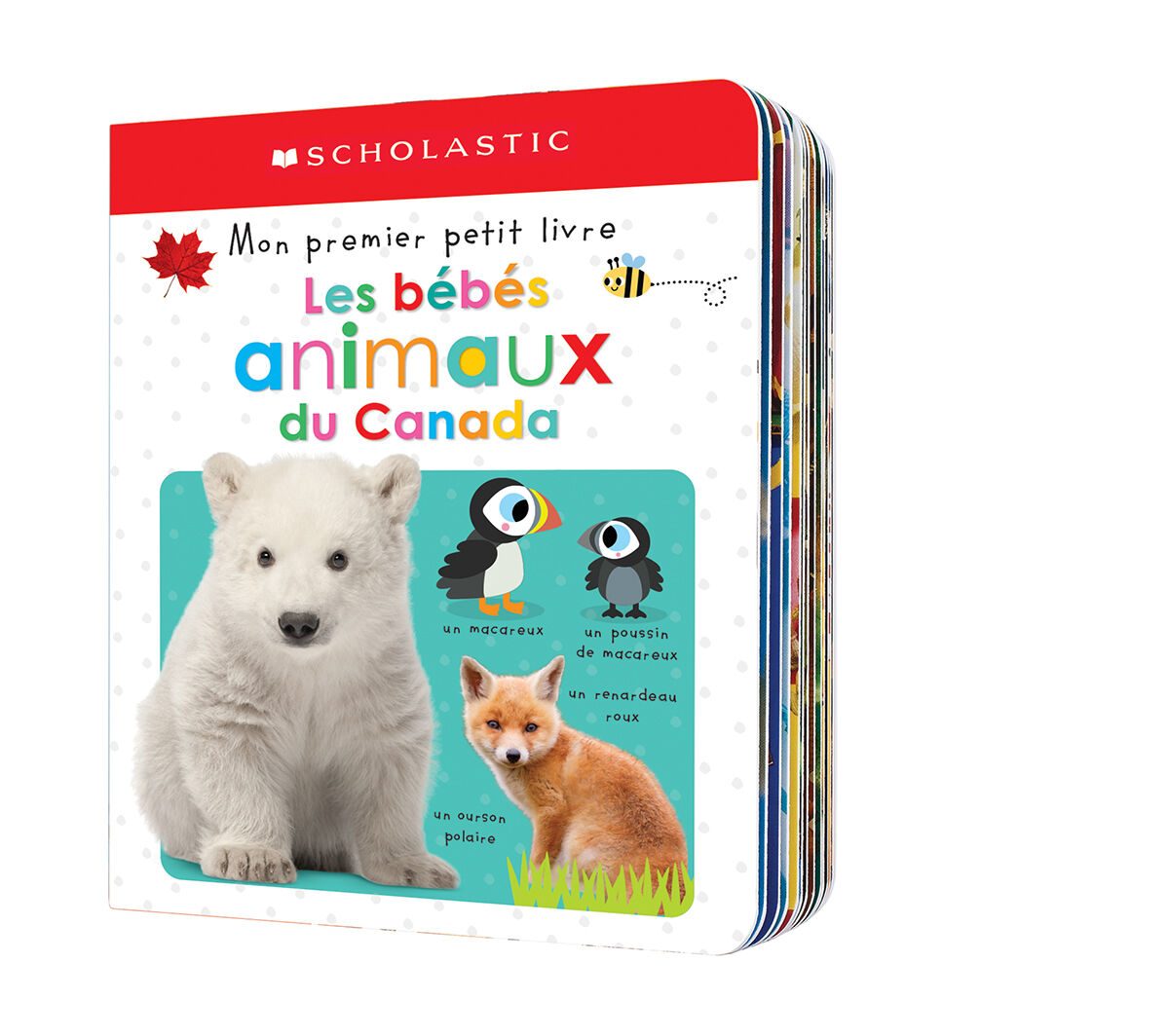 Mon premier petit livre : Les b&eacute;b&eacute;s animaux du Canada