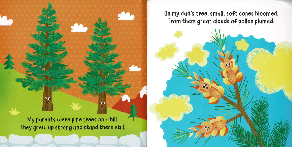 Thumbnail 3 Hello! My Name is... Pine Cone 