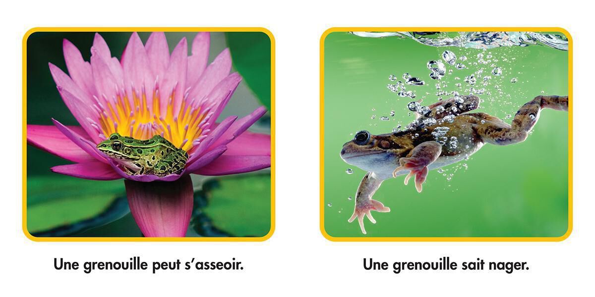 Thumbnail 3 National Geographic Kids : Ensemble de lecture 1 