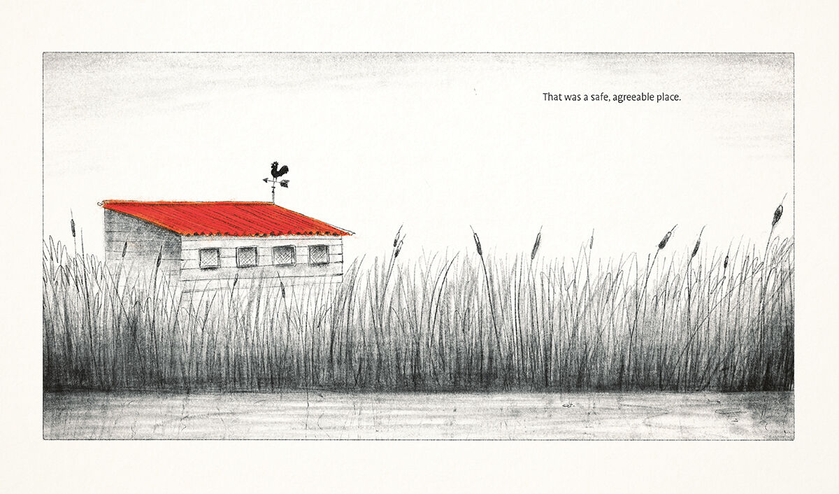 Thumbnail 2 The Capybaras 