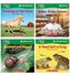 Thumbnail 6 Nonfiction Phonics Readers SET 3: R-Control, Variant Vowels & More