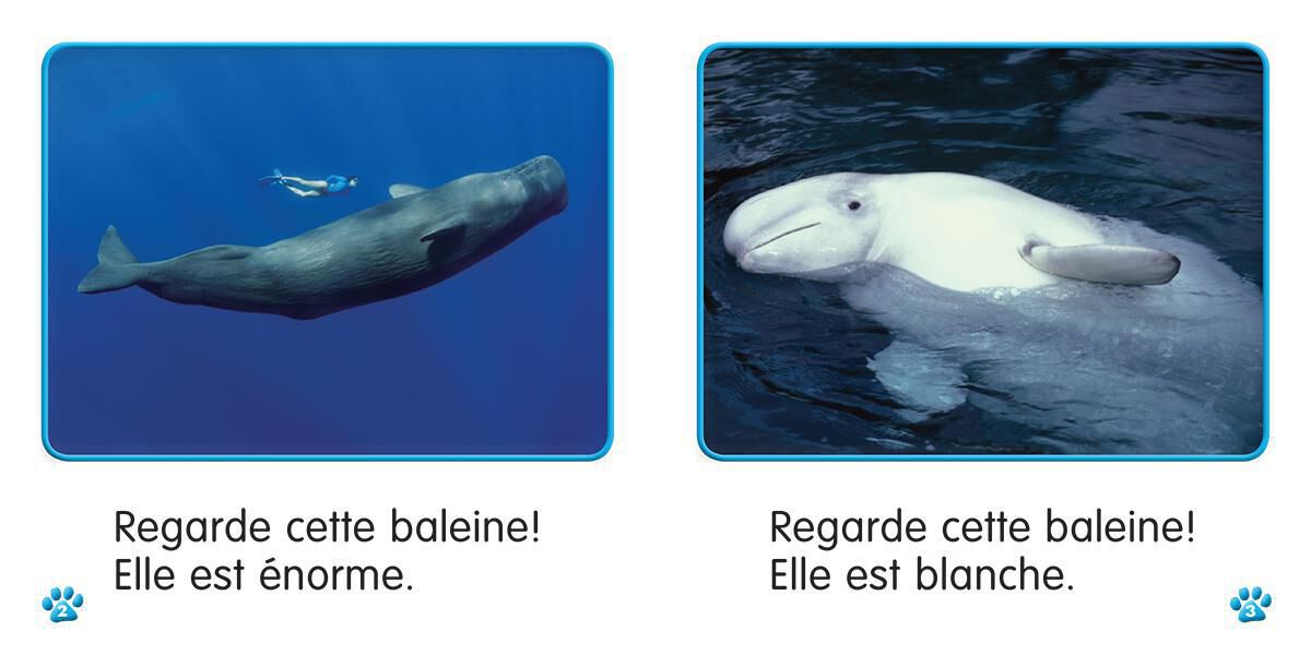 Thumbnail 3Collection Je lis! Animaux - S&eacute;rie 2