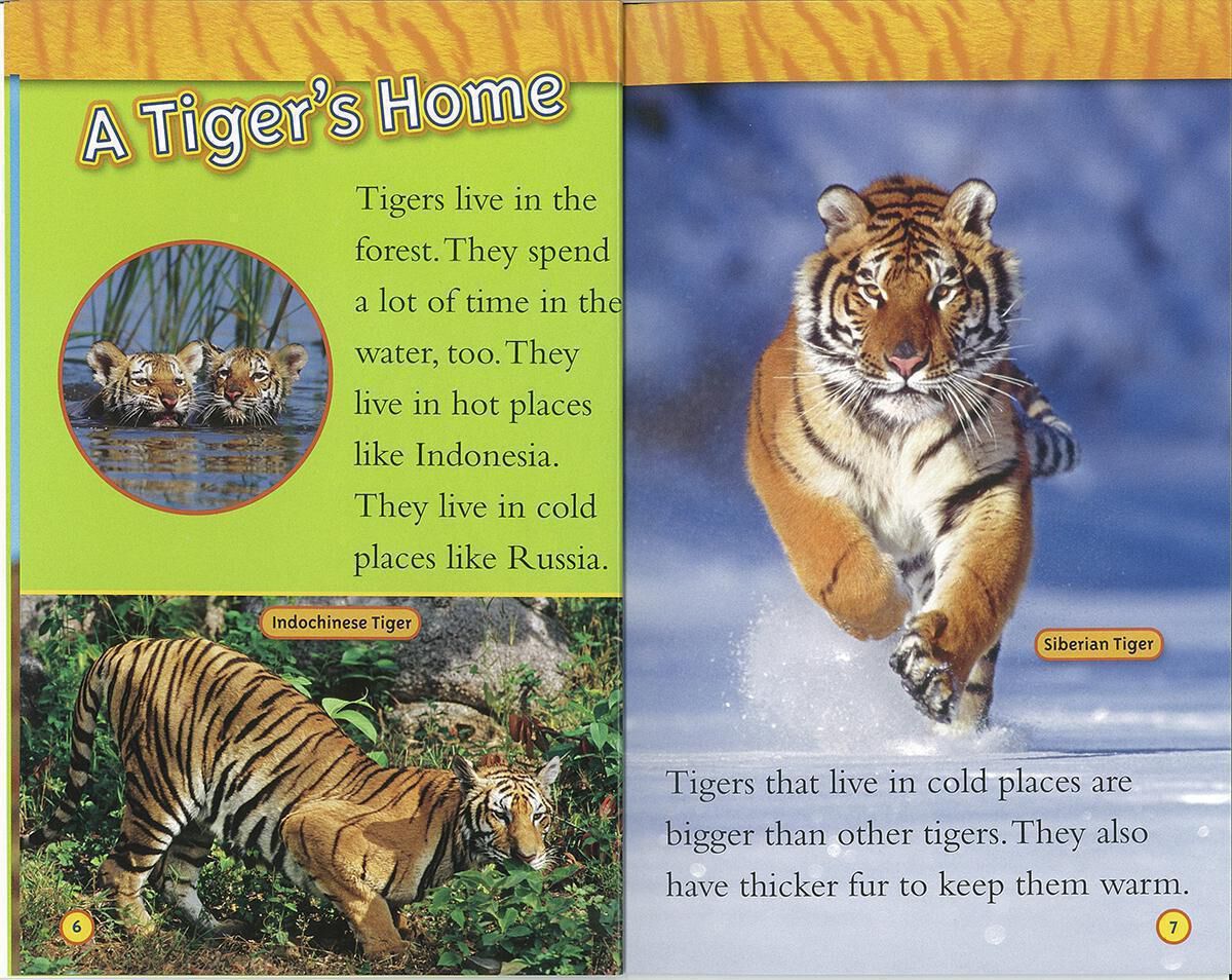 新品 National Geographic Kids 1 / ORT 6-9 National Geographic Kids Predators 6-Pack | Scholastic