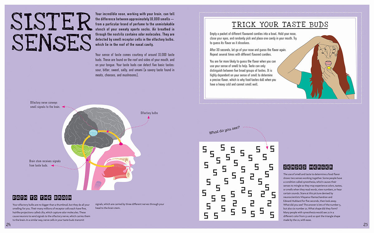 Thumbnail 3Brain Twisters