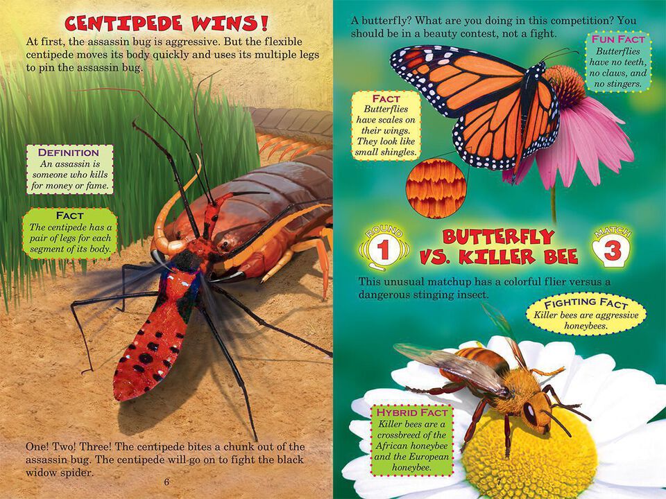 Who Would Win?® Ultimate Bug Rumble | Scholastic Canada Book Clubs