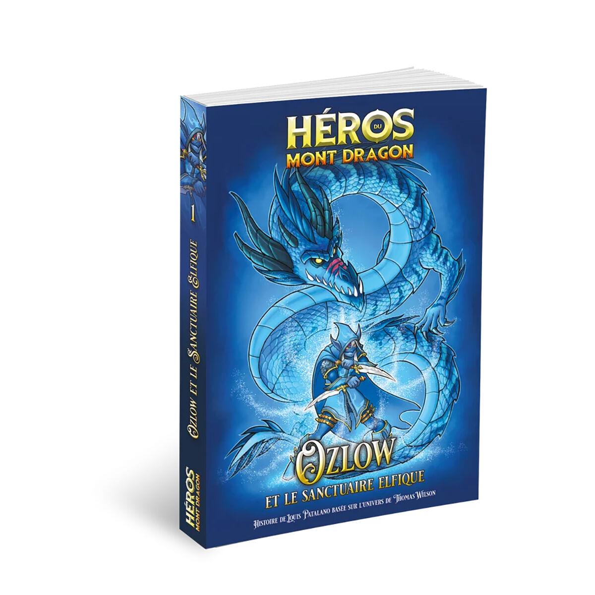 H&eacute;ros du Mont Dragon : N&deg; 1 - Ozlow et le Sanctuaire Elfique