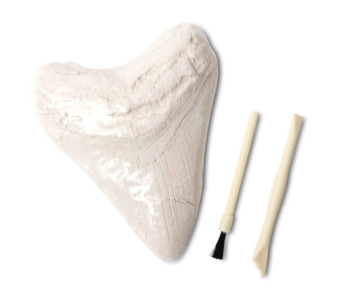 Thumbnail 2 Dig and Discover: Oceans 