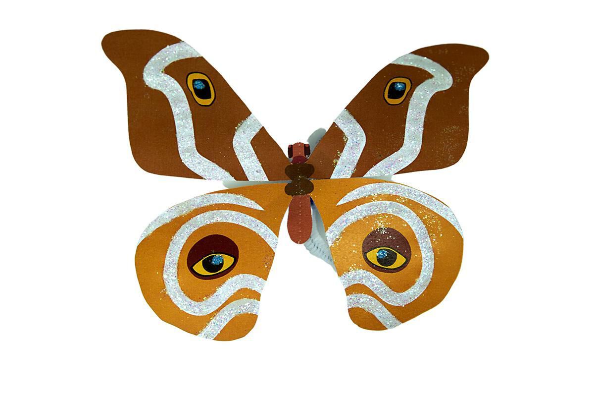 Thumbnail 6 Beautiful Bugs 