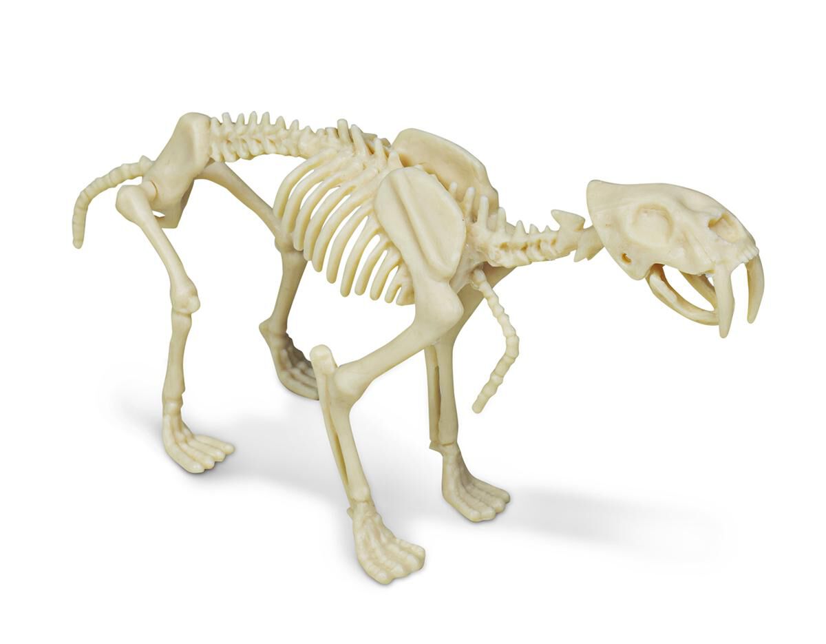 Thumbnail 2Saber-Toothed Tigers and Other Ice Age Creatures