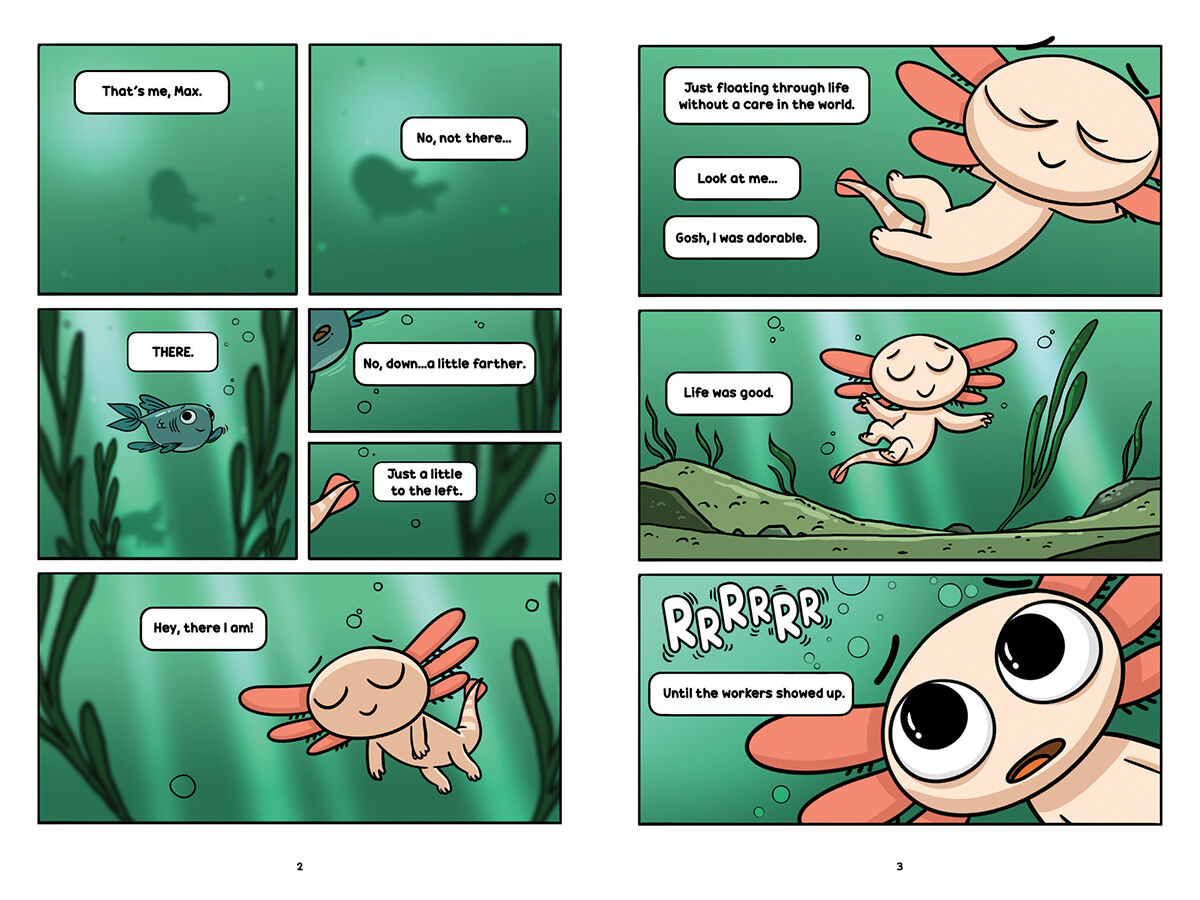 Thumbnail 2Max, a Little Axolotl