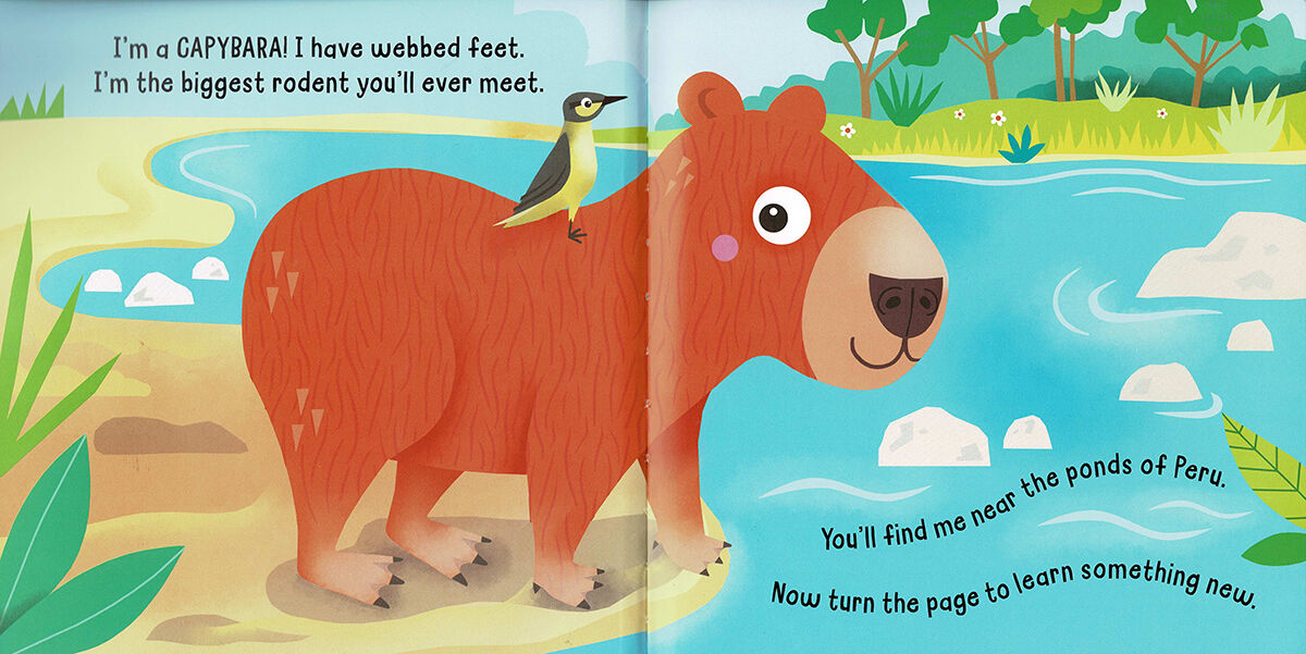 Thumbnail 2 Hello! My Name is... Capybara 