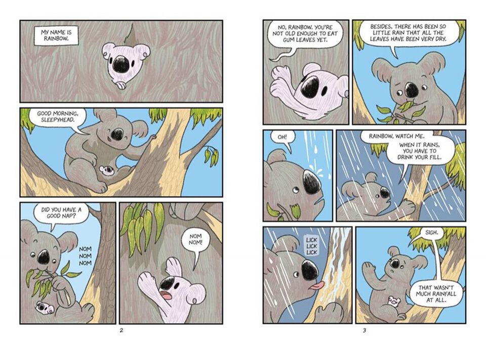 Surviving the Wild: Rainbow the Koala
