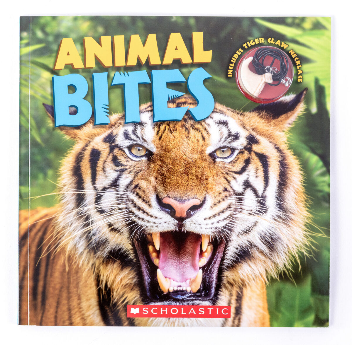  Animal Bites 