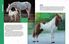 Thumbnail 4 The Horse Encyclopedia for Kids