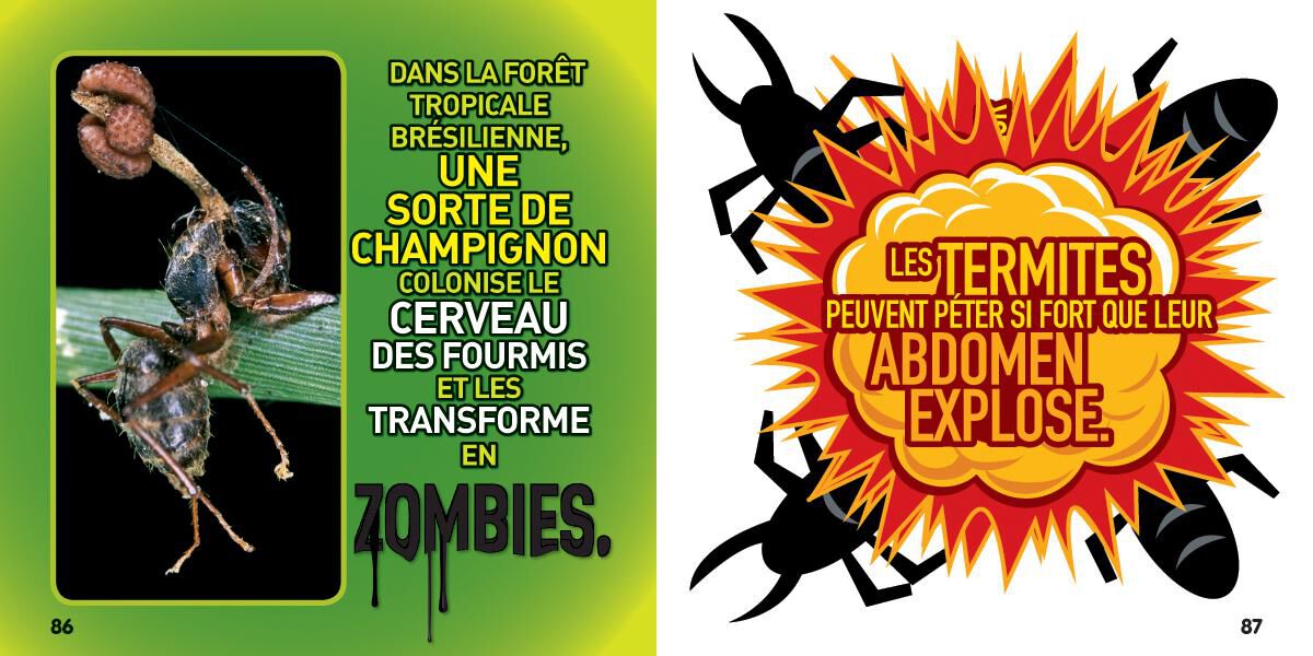 Thumbnail 2National Geographic Kids : Bizarre mais vrai! D&eacute;gueu!