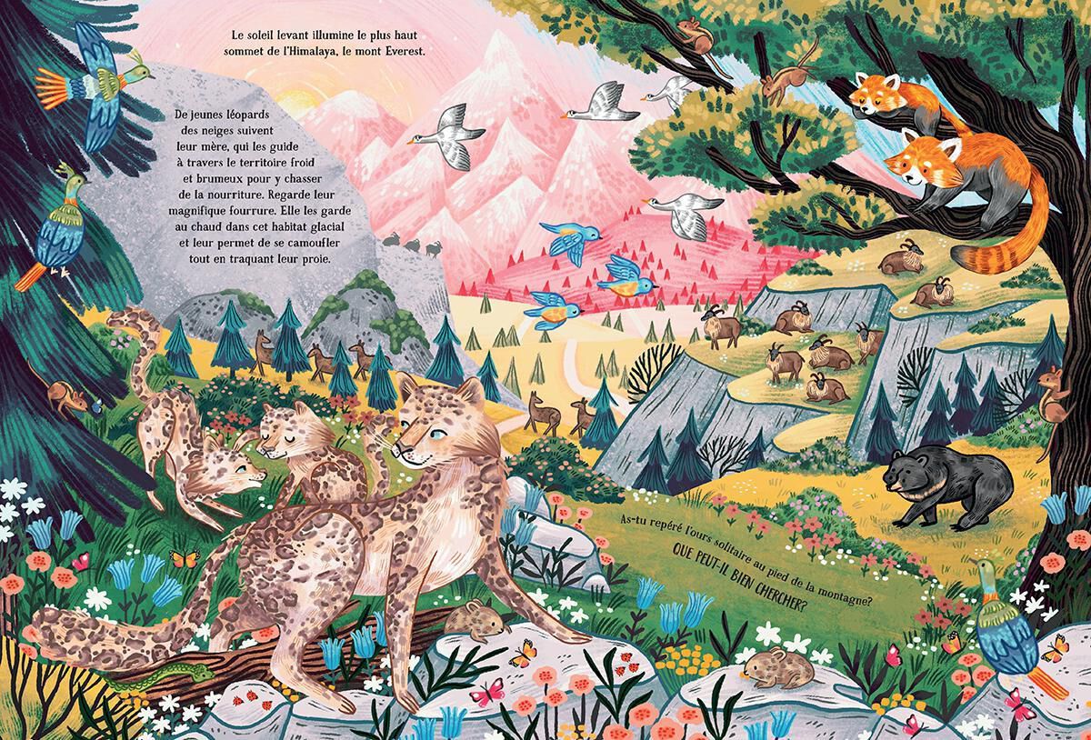 Les secrets de la montagne | Scholastic Canada Clubs de lecture