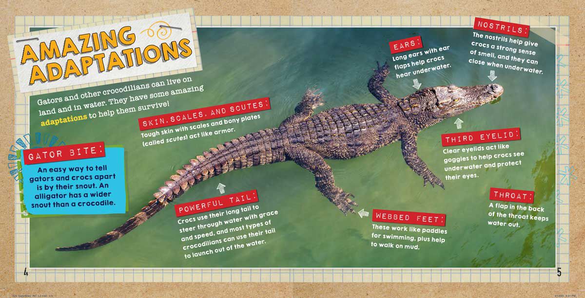 Thumbnail 4 Gator Bites 