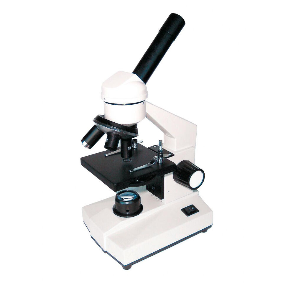 Microscope à source lumineuse | Les indispensables du prof Scholastic ...