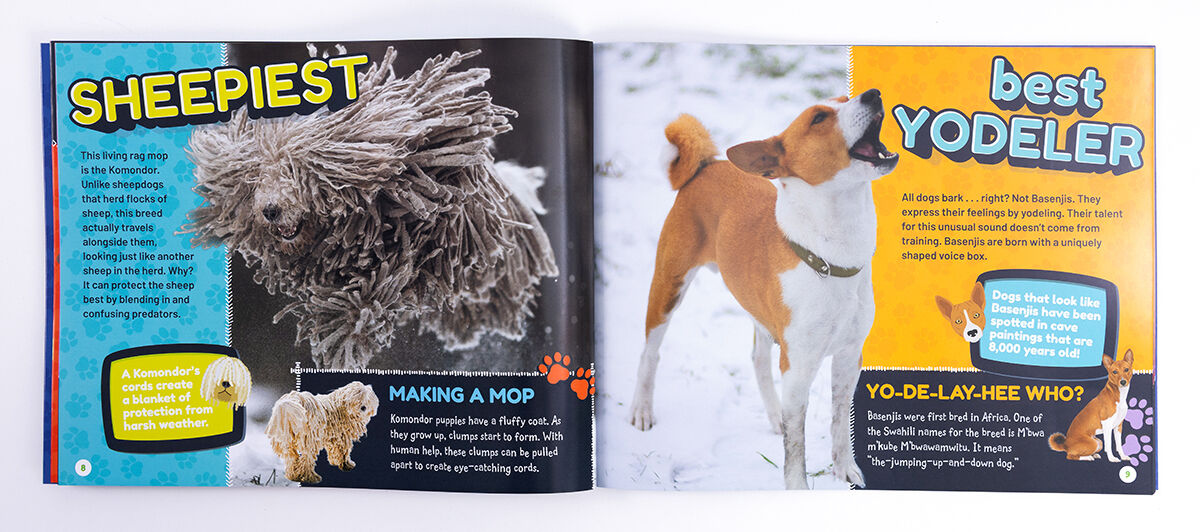 Thumbnail 2 Pupstars 