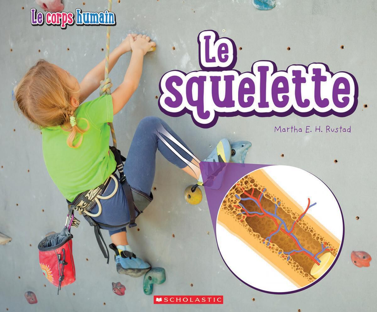 Thumbnail 6 Ensemble Le corps humain 