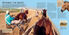 Thumbnail 4 Horses