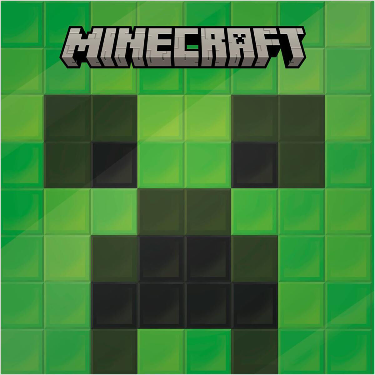 Thumbnail 2Minecraft Picture Book Pack