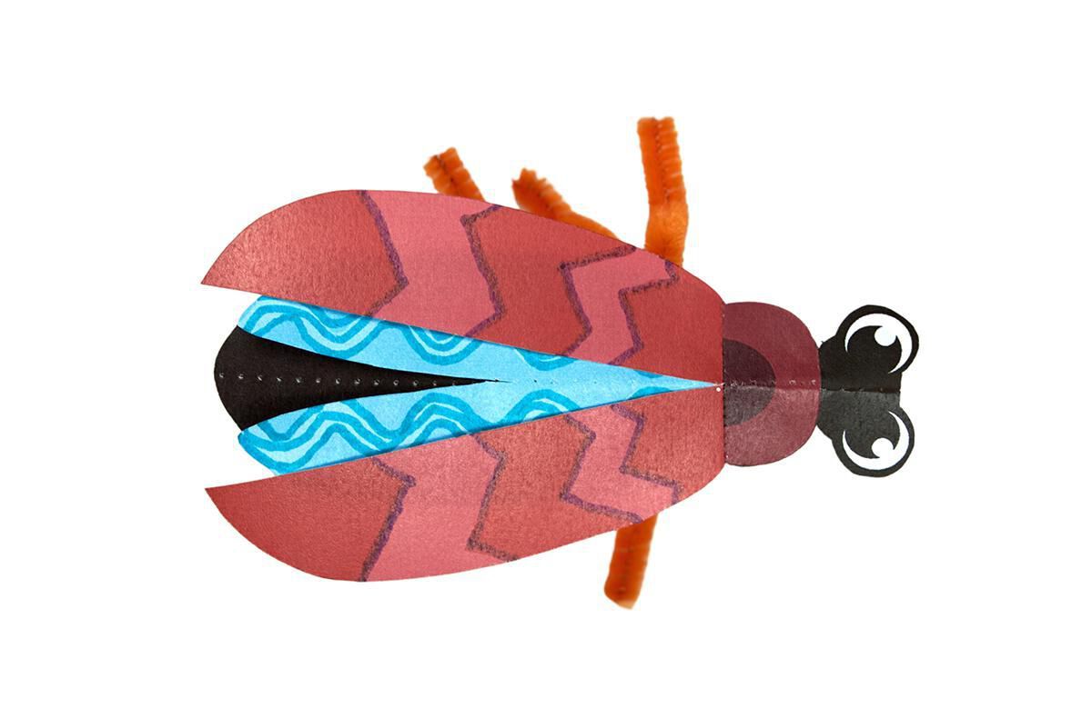 Thumbnail 10 Beautiful Bugs 