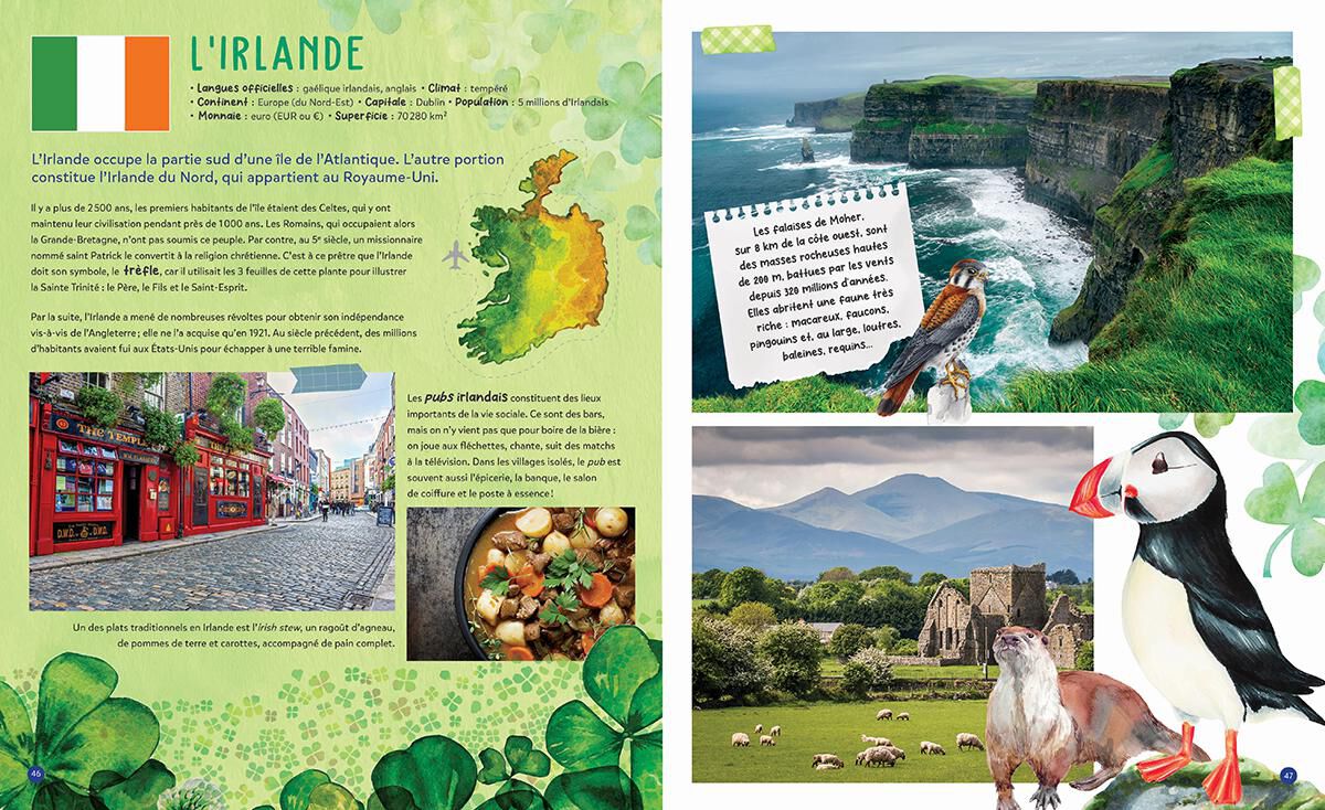 D COUVREZ LE MONDE FASCINANT DU STREAMING FRAN AIS FRENCH STREAM visual data 6