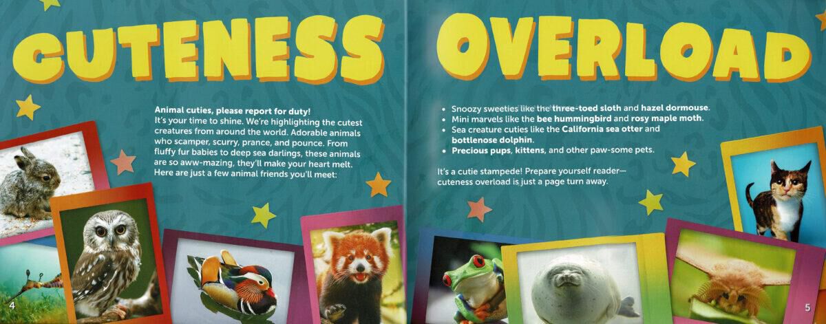 Thumbnail 3Cutest Animals of All Time