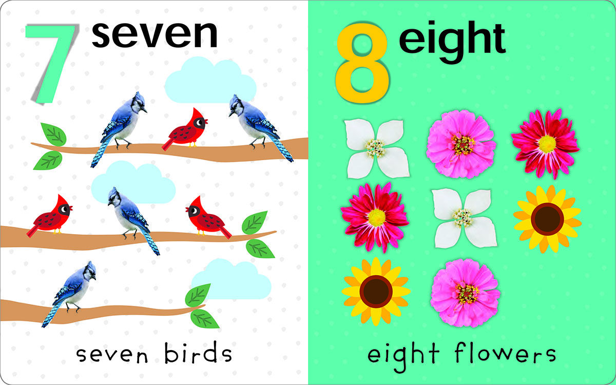 Thumbnail 7My First Canadian Concepts Board Book Pack