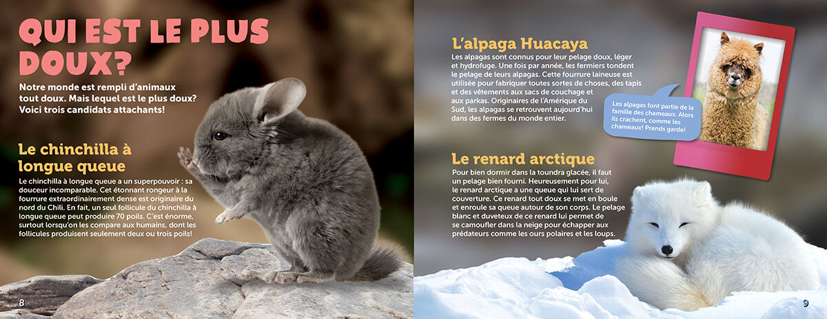 Thumbnail 3 Harry Potter : Sortil&egrave;ges, le guide de la magie &agrave; Poudlard 