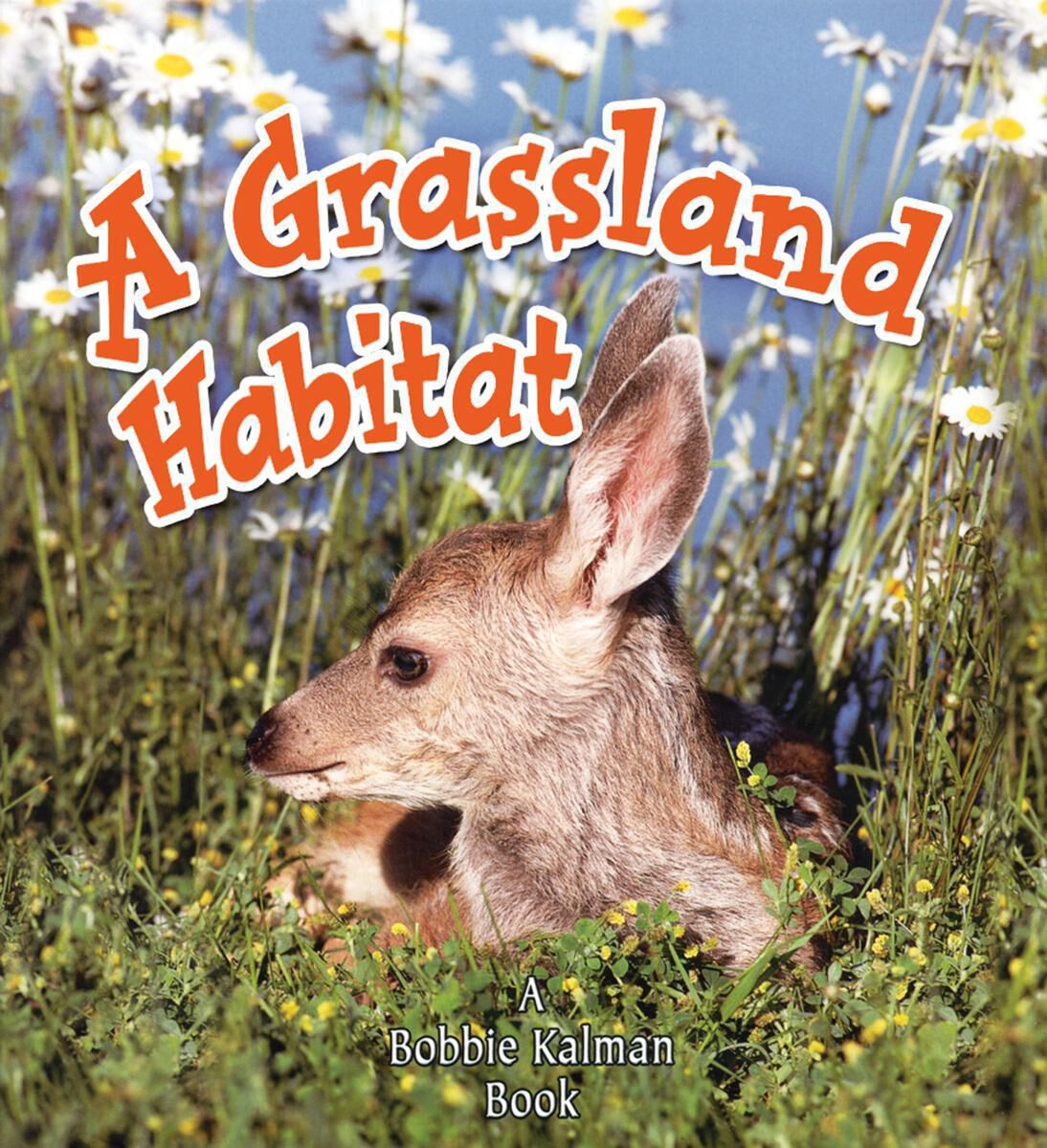 Introducing Habitats 4-Pack | Scholastic Canada Book Clubs