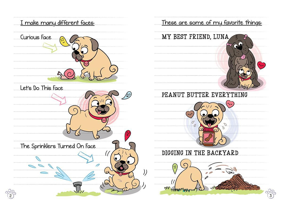 Thumbnail 3 Diary of a Pug #10: Beach Pug 