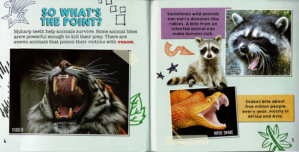 Thumbnail 4Animal Bites