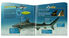 Thumbnail 2 Sharks! Up Close