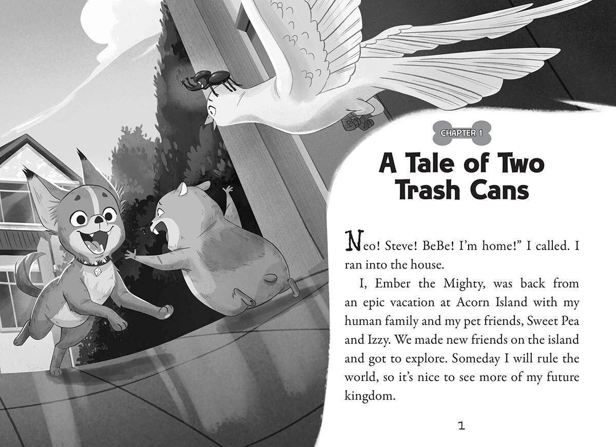 Thumbnail 2 Pets Rule! #7: Revenge of the Raccoons 