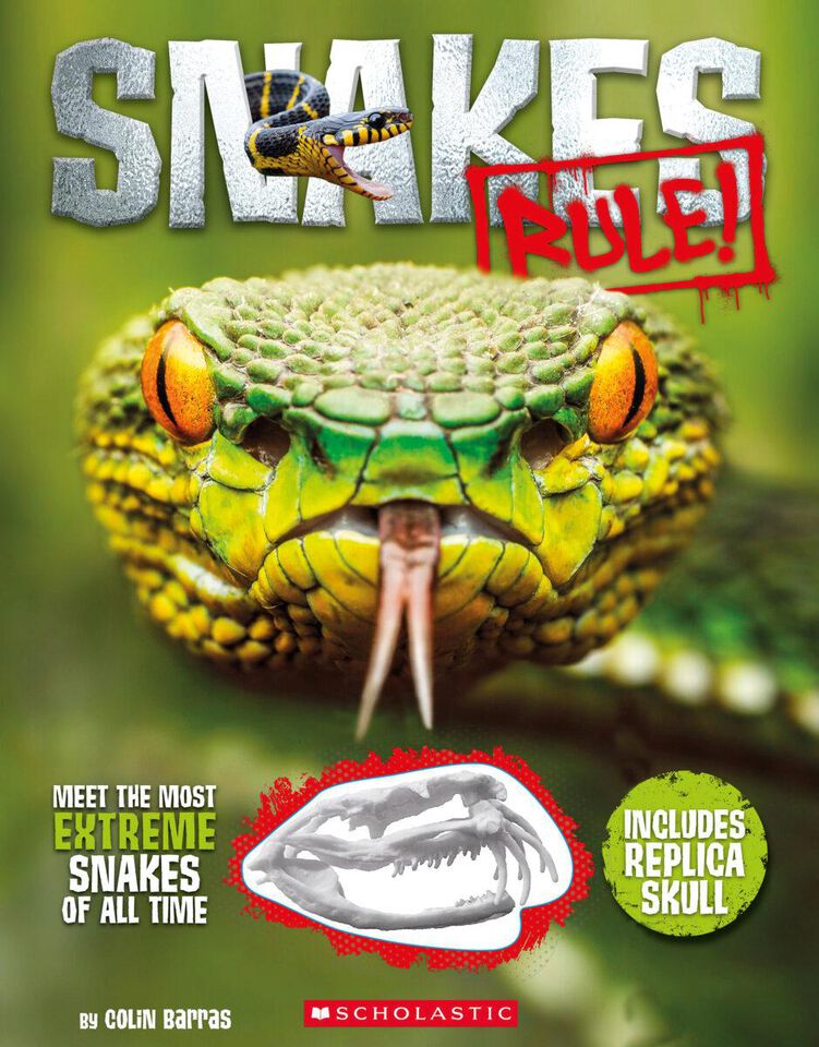 Snakes Rule Scholastic Canada Book Clubs snakes-rule-scholastic-canada-book-clubs