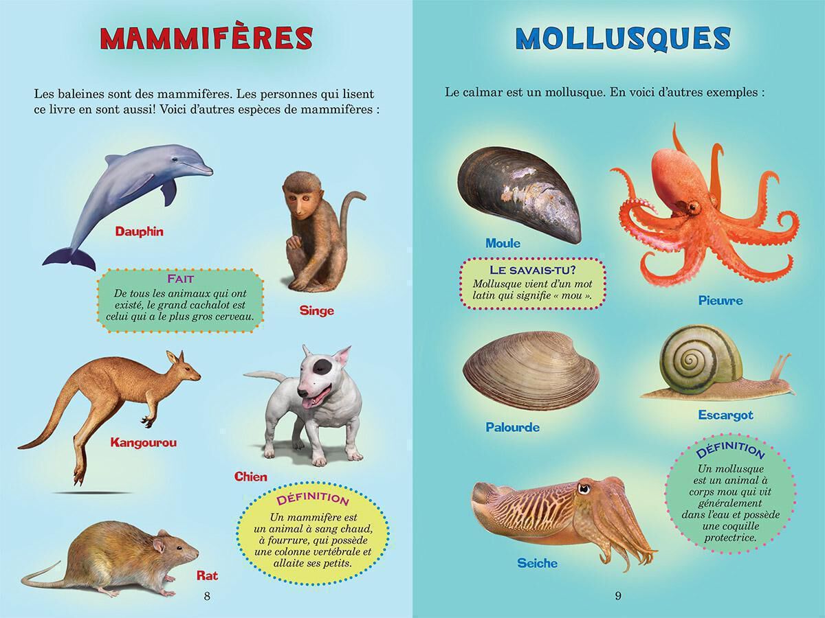 Thumbnail 4 Qui va gagner? : Le grand cachalot ou le calmar g&eacute;ant? 