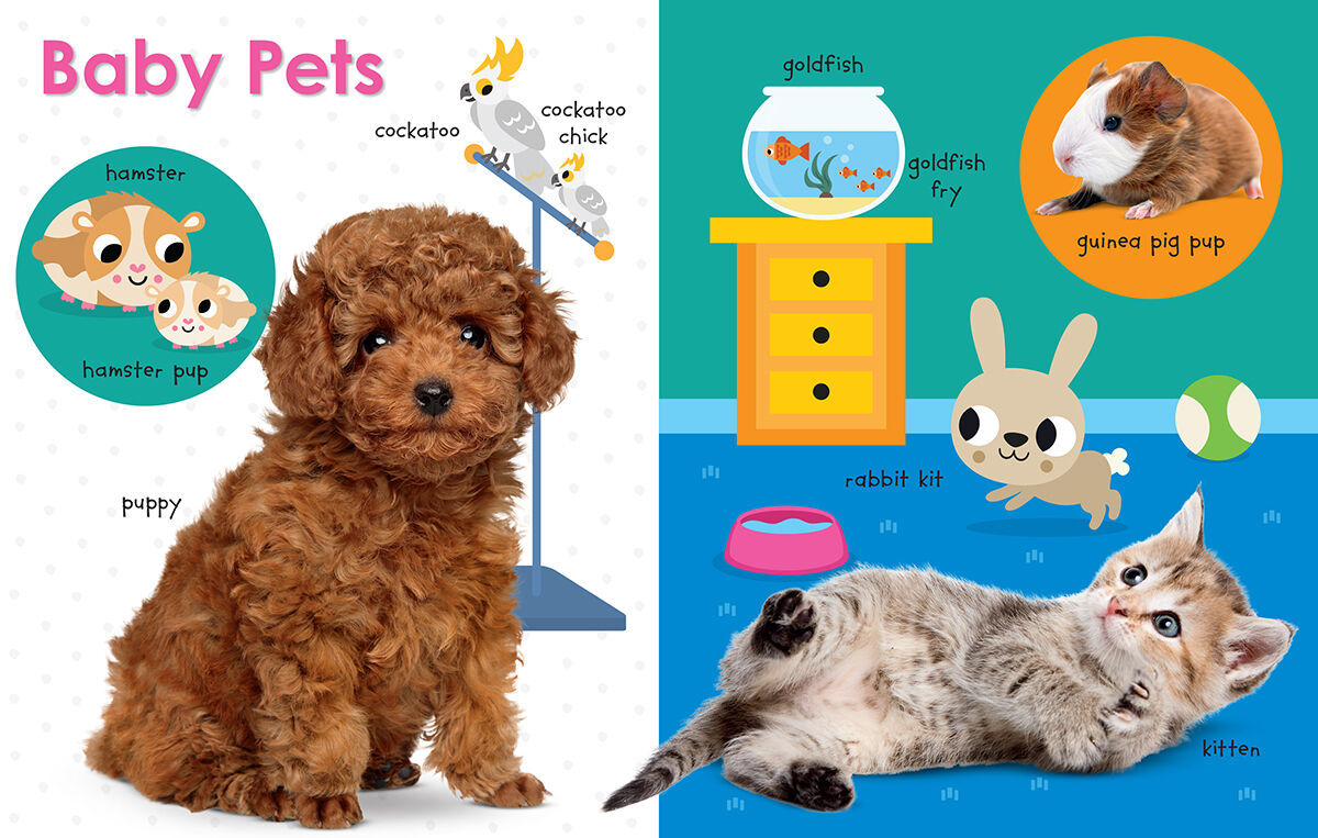 Thumbnail 2 My First Canadian Baby Animals 