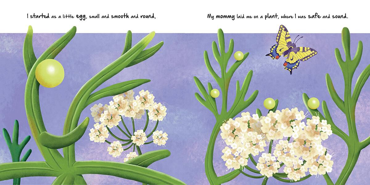 Thumbnail 2 Little Caterpillar 