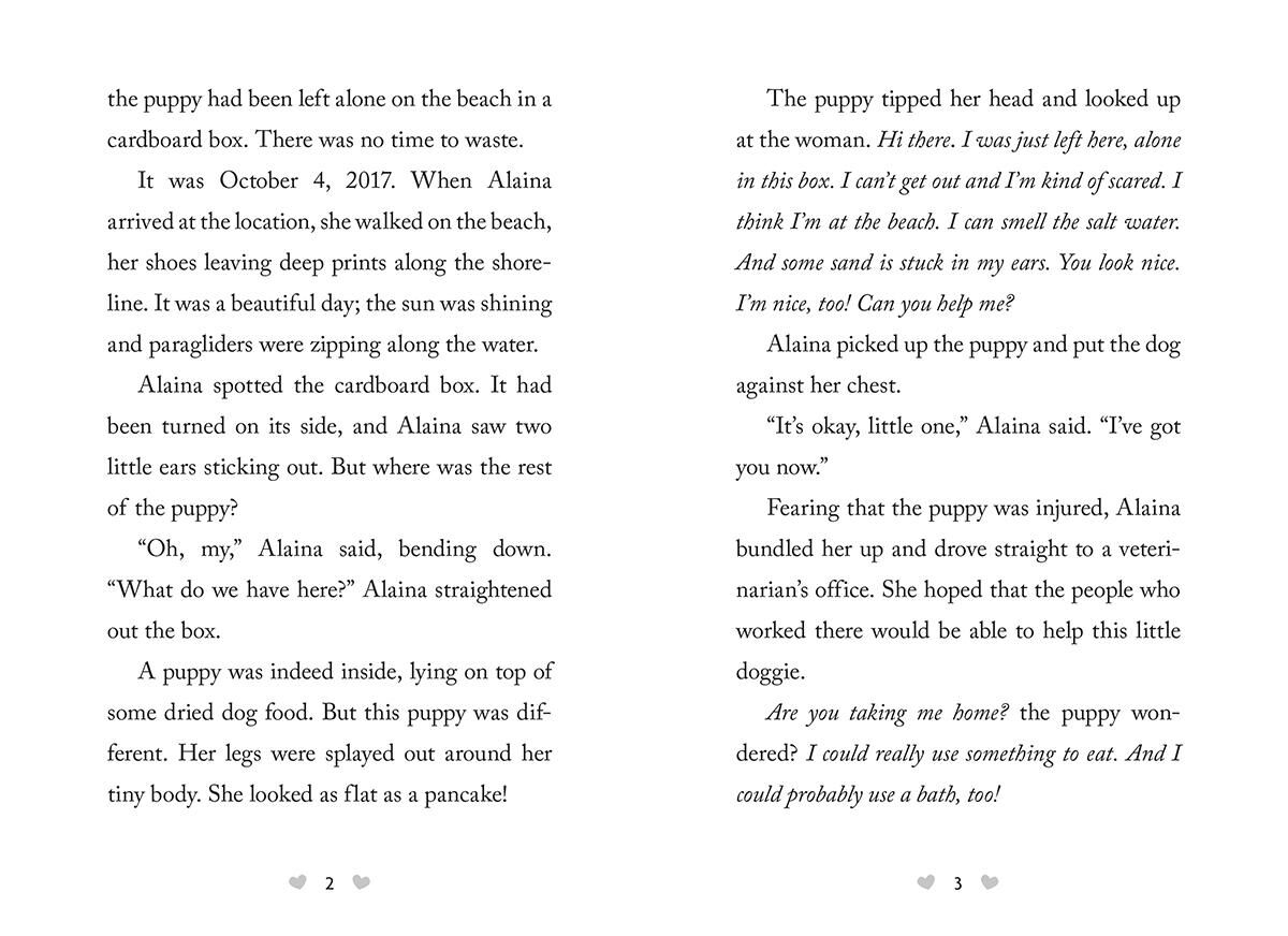 Thumbnail 5 The Dodo 3-Pack 