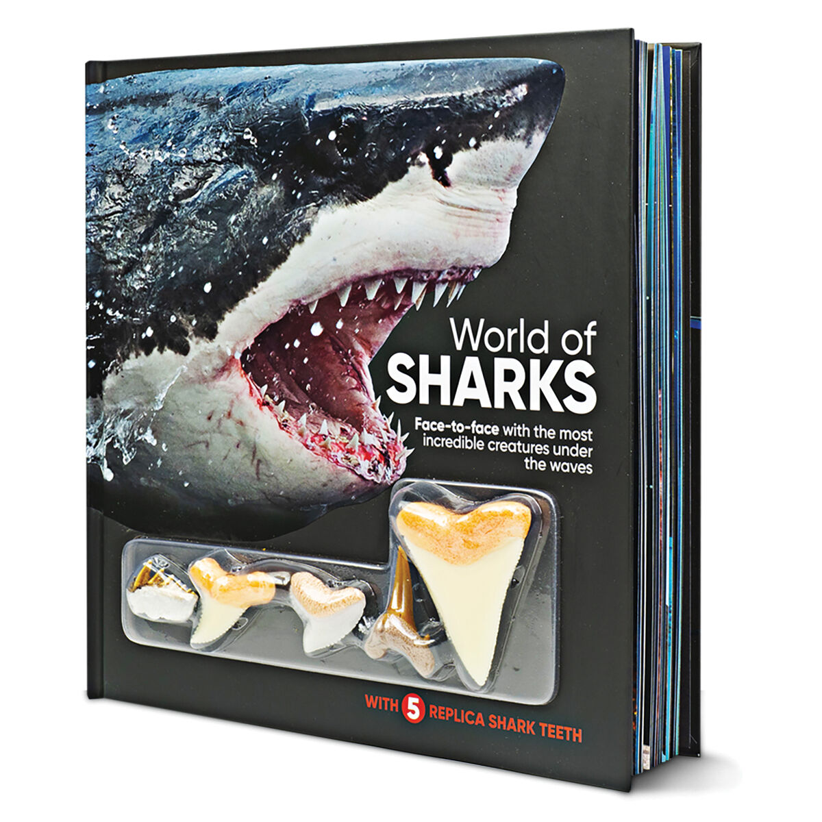  World of Sharks 