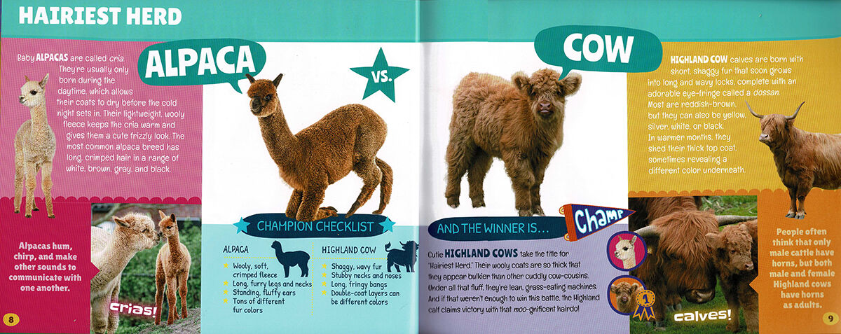 Thumbnail 5Cubs vs. Pups: Battle of the Cutest Babies