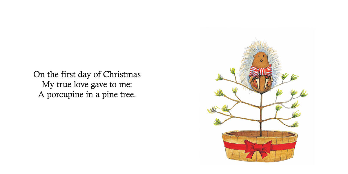 Thumbnail 2A Porcupine in a Pine Tree A Canadian 12 Days of Christmas