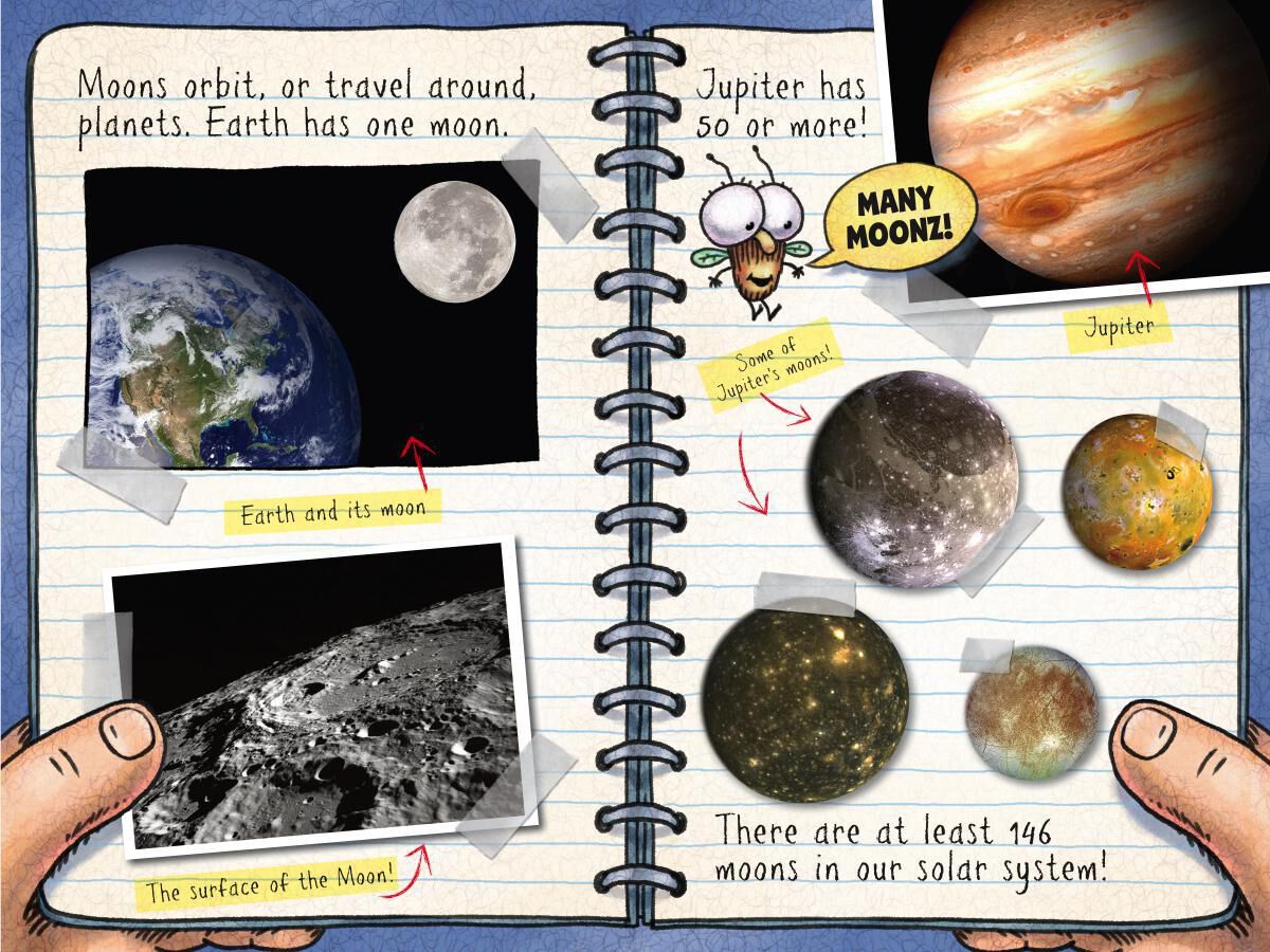 Thumbnail 3 Fly Guy Presents 10-Pack 