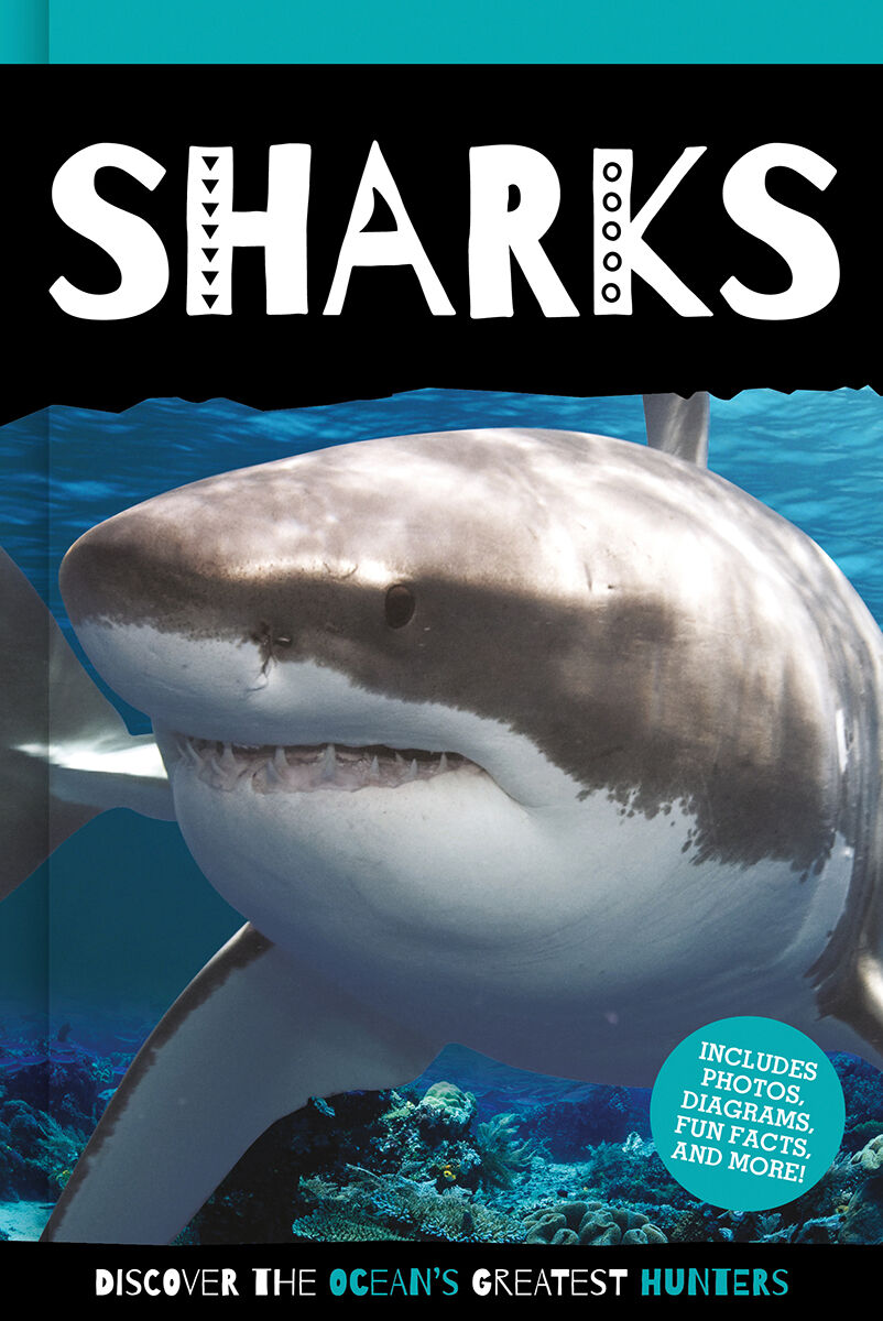 Thumbnail 4 Animal Reader 4-Pack 