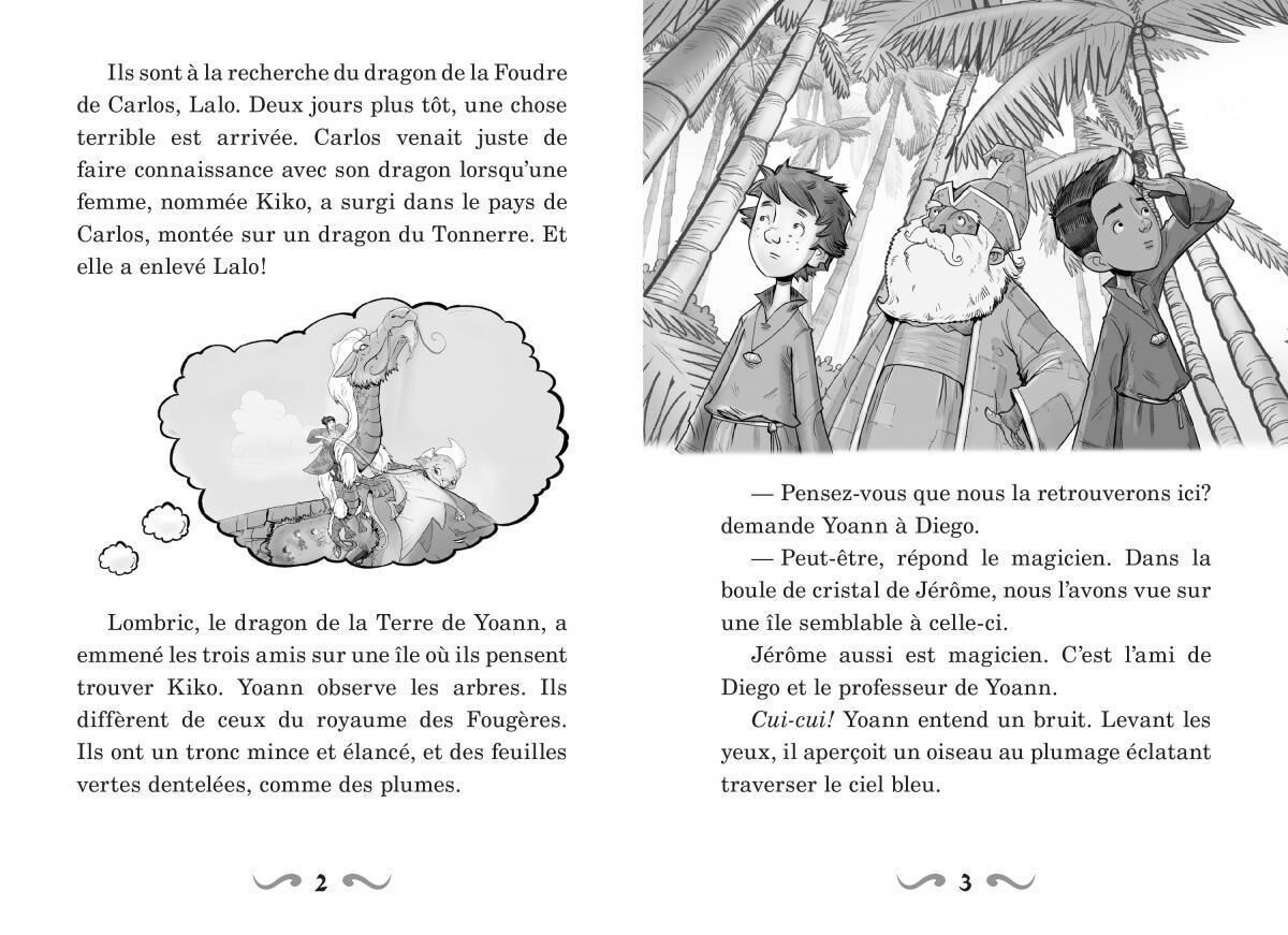 Thumbnail 4Ensemble de 5 livres-cadeaux Ma&icirc;tres des dragons - Tome 8